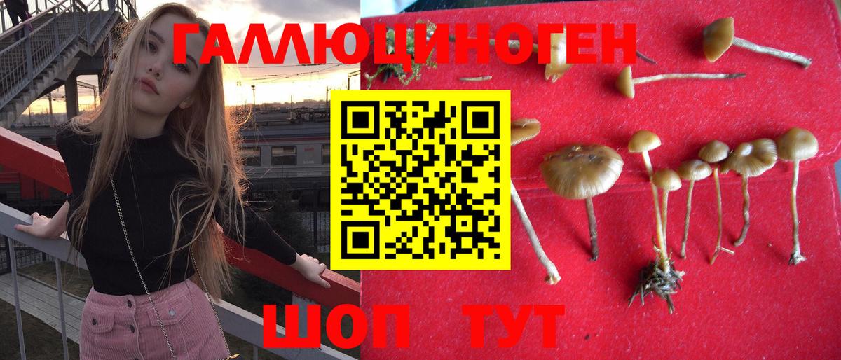 Галлюциногенные грибы Magic Shrooms  Вход с VPN  Псилоцибиновые грибы GOLDEN TEACHER  Кисловодск 